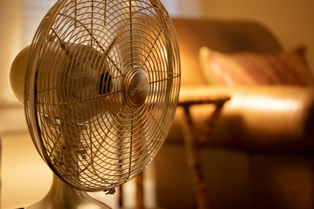 Heatwave and Allergies: Should You Use a Fan or an Air Purifier?