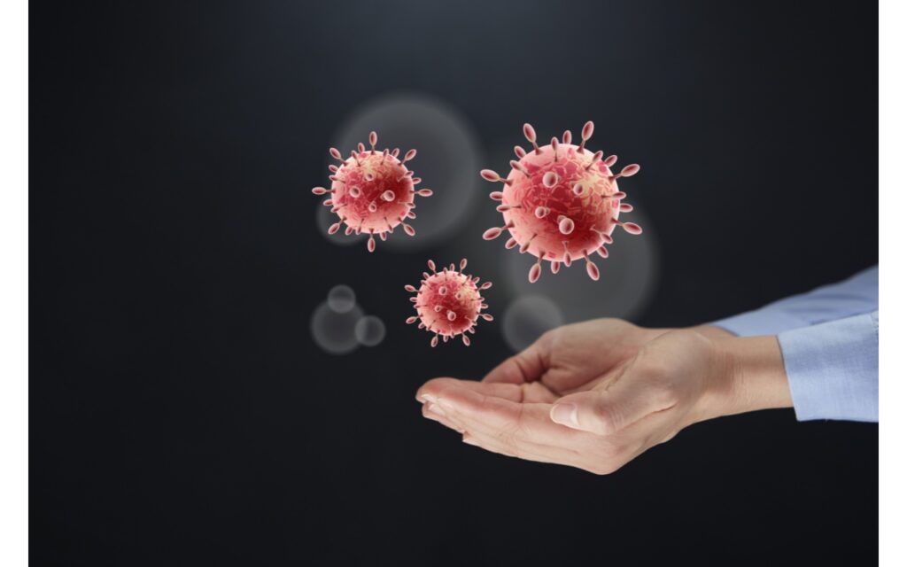 Locally Acquired Arboviruses: The Primary Care Response