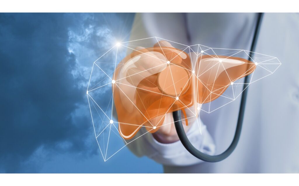 Phenols from Fermented Grains Protect the Liver