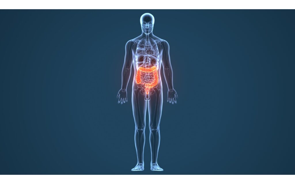 The Neurobiological Sense: How the Gut Shapes the Microbiota and Appetite
