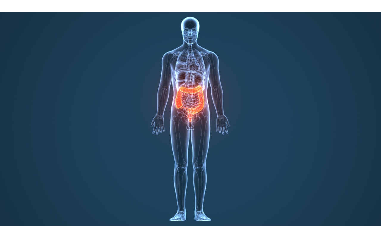 The Neurobiological Sense: How the Gut Shapes the Microbiota and Appetite