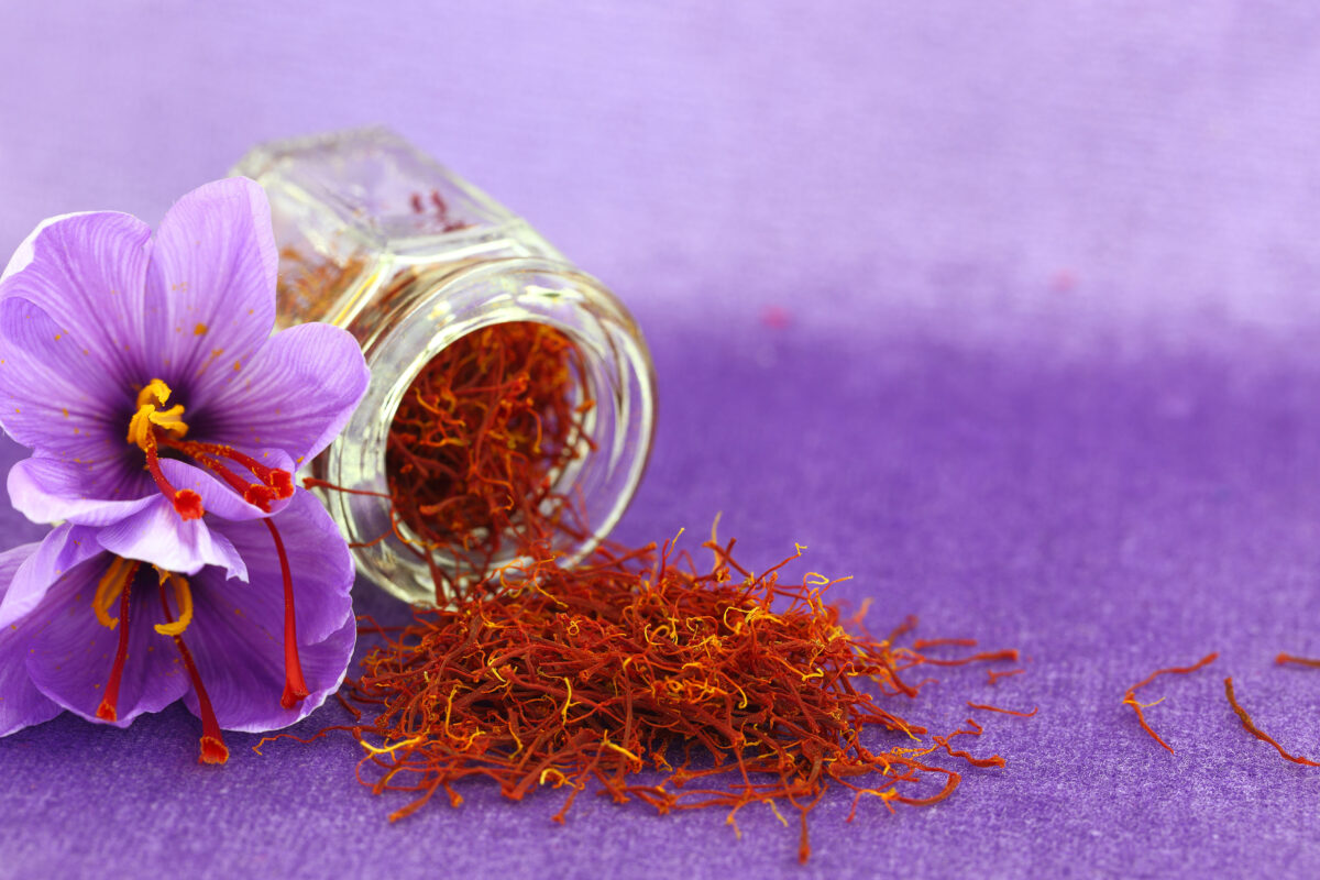 Therapeutic Potential of Saffron Extracts for Mild Depression