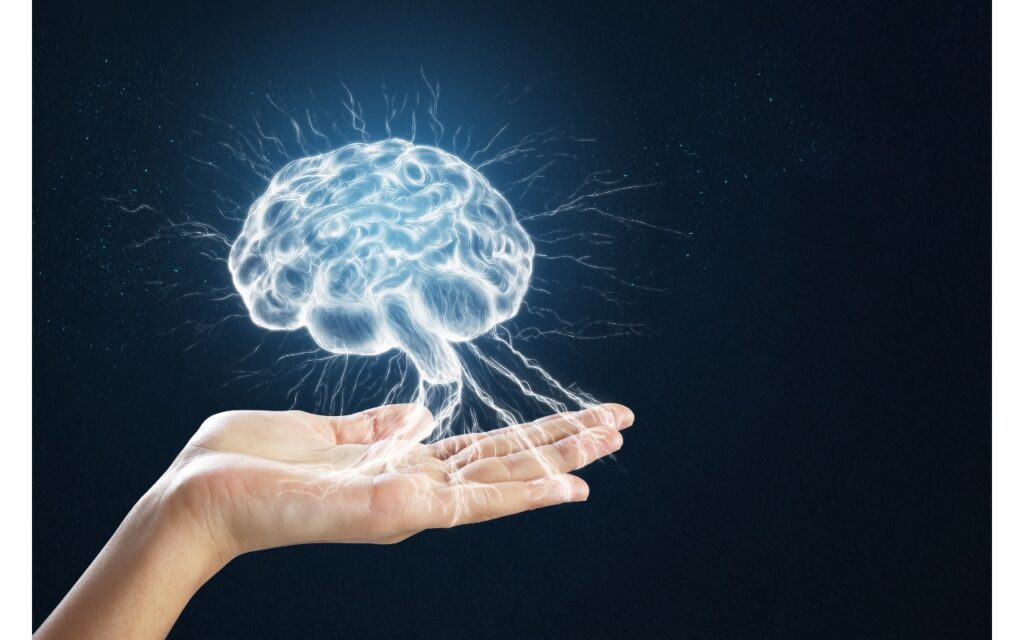 A Program to Combat Brain Inflammation