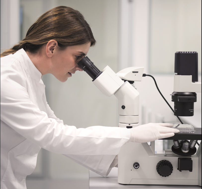 Effects of Natural Substances on the Upper GI Tract: Research Underway