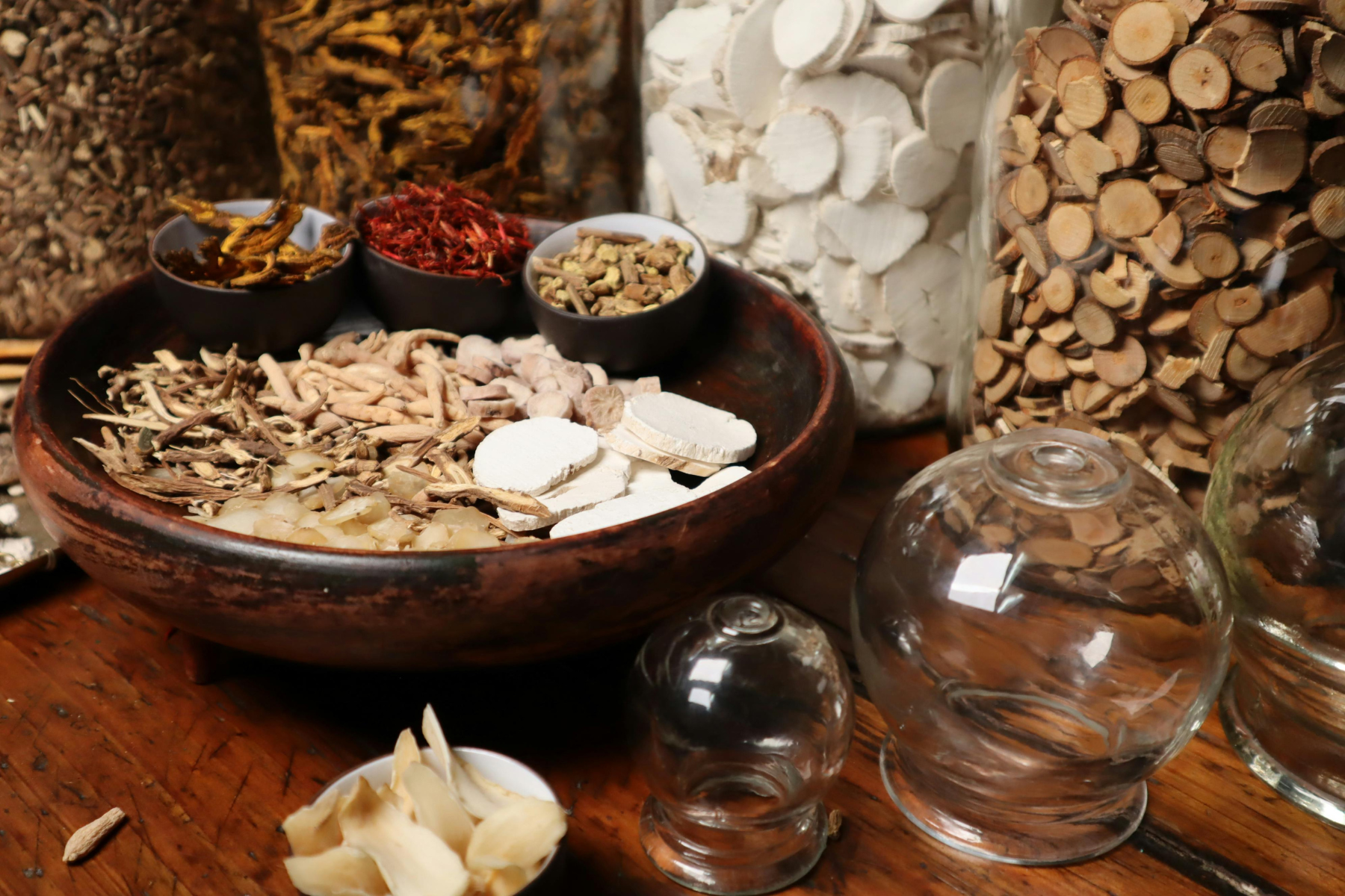 World Health Organization's Second Summit on Traditional Medicine