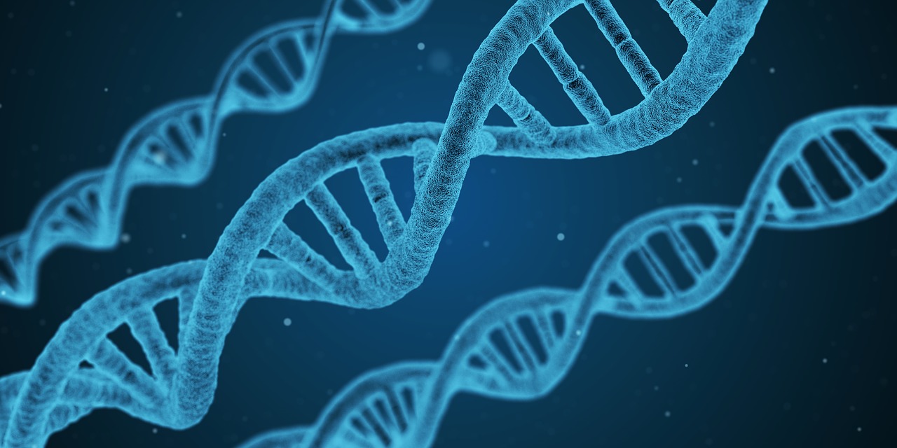 Longevity: Genetics Outweigh Lifestyle, New Study Finds