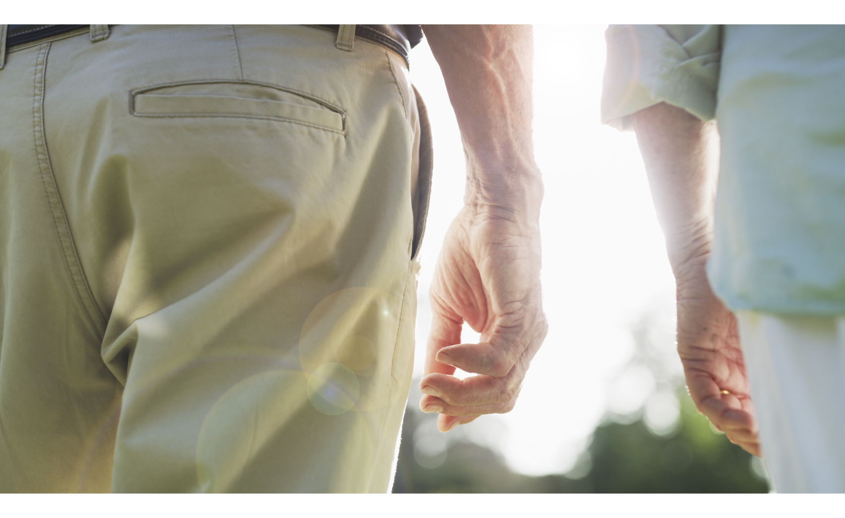 Blood piRNA: New Predictive Biomarkers for Longevity