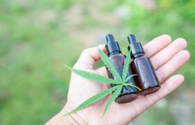 CBD Without THC: How to Use It Without Risking Your Driver’s License