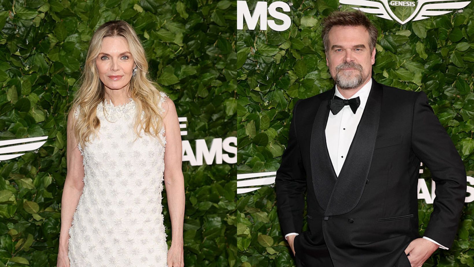 Michelle Pfeiffer and David Harbour Shine on the Gotham TV Awards Red Carpet