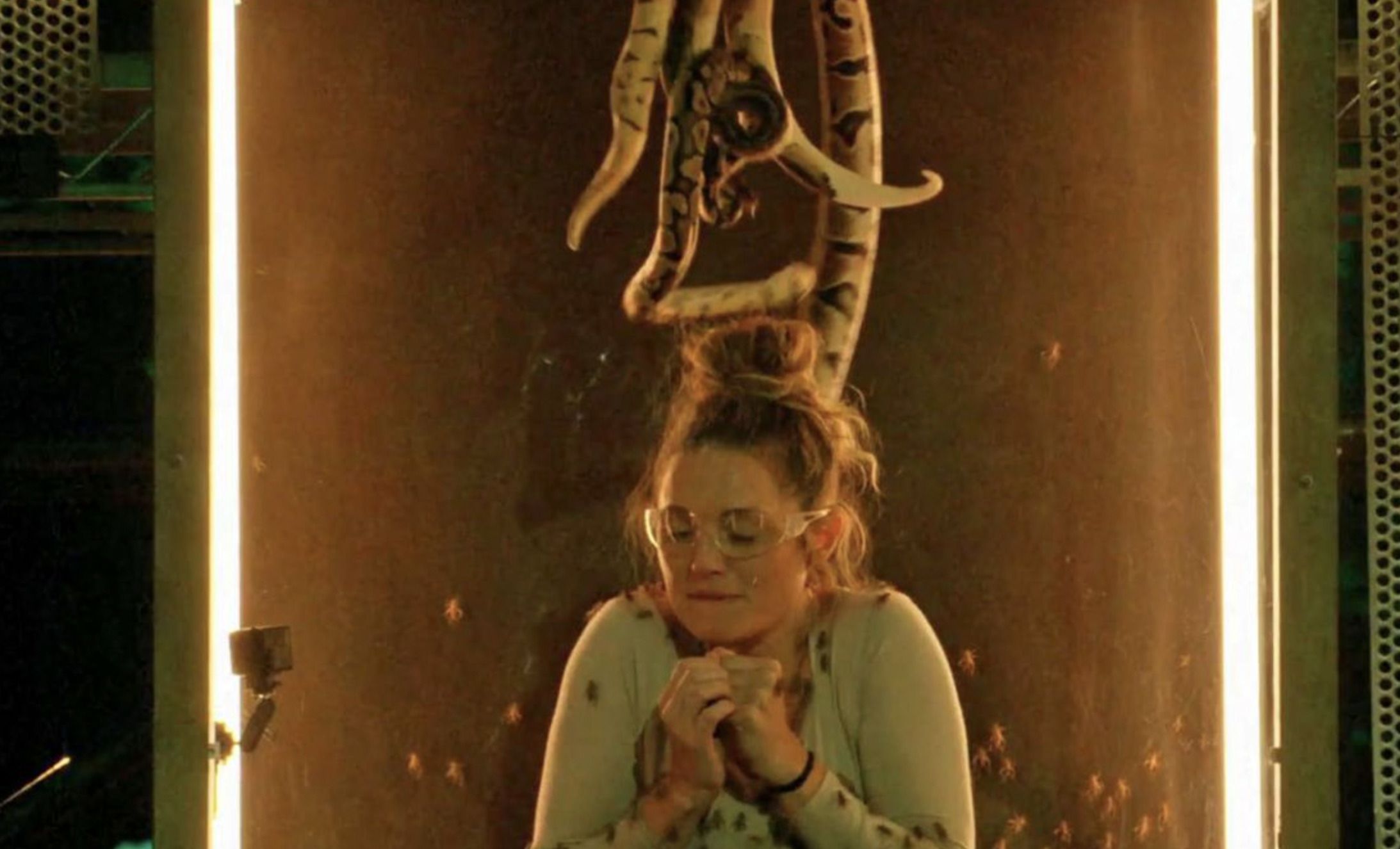 Fear Factor: House of Fear S.-T.F.