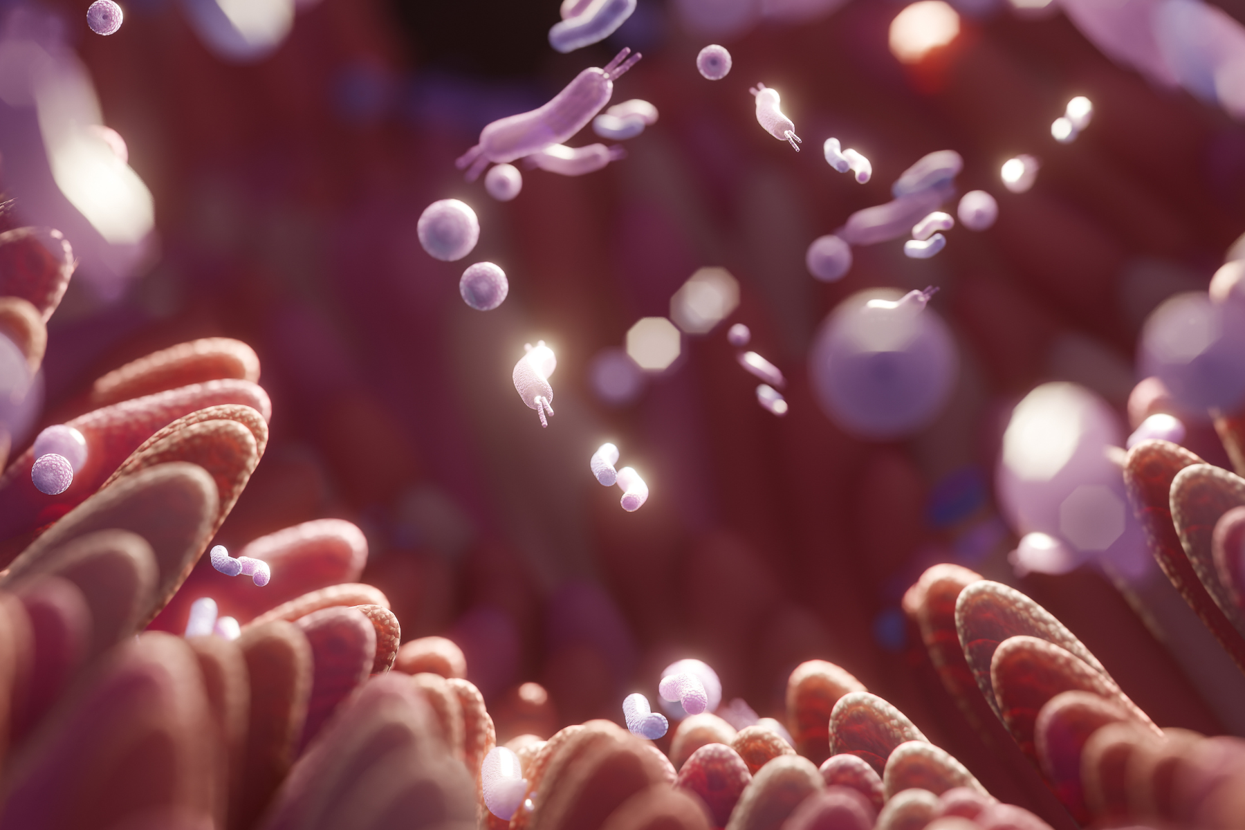 Healthy Microbiome: The New Key to Longevity