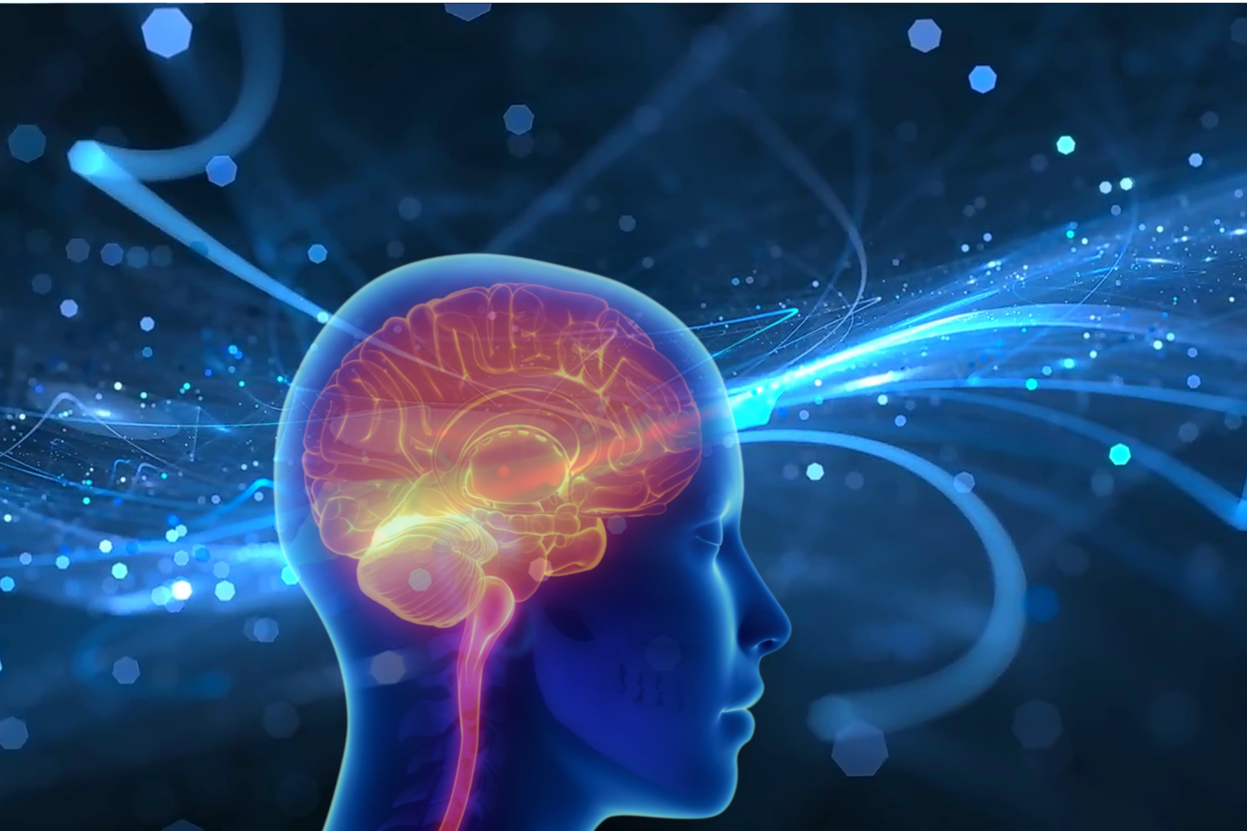 Brain Aging: The Role of Microglia Between Ages 50 and 75