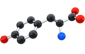Tyrosine and Longevity: Elevated Tyrosine Levels Linked to Shorter Lifespan in a Genetic Study