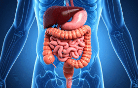 Gut Inflammation and Epigenetics: A Potential Link to Colorectal Cancer