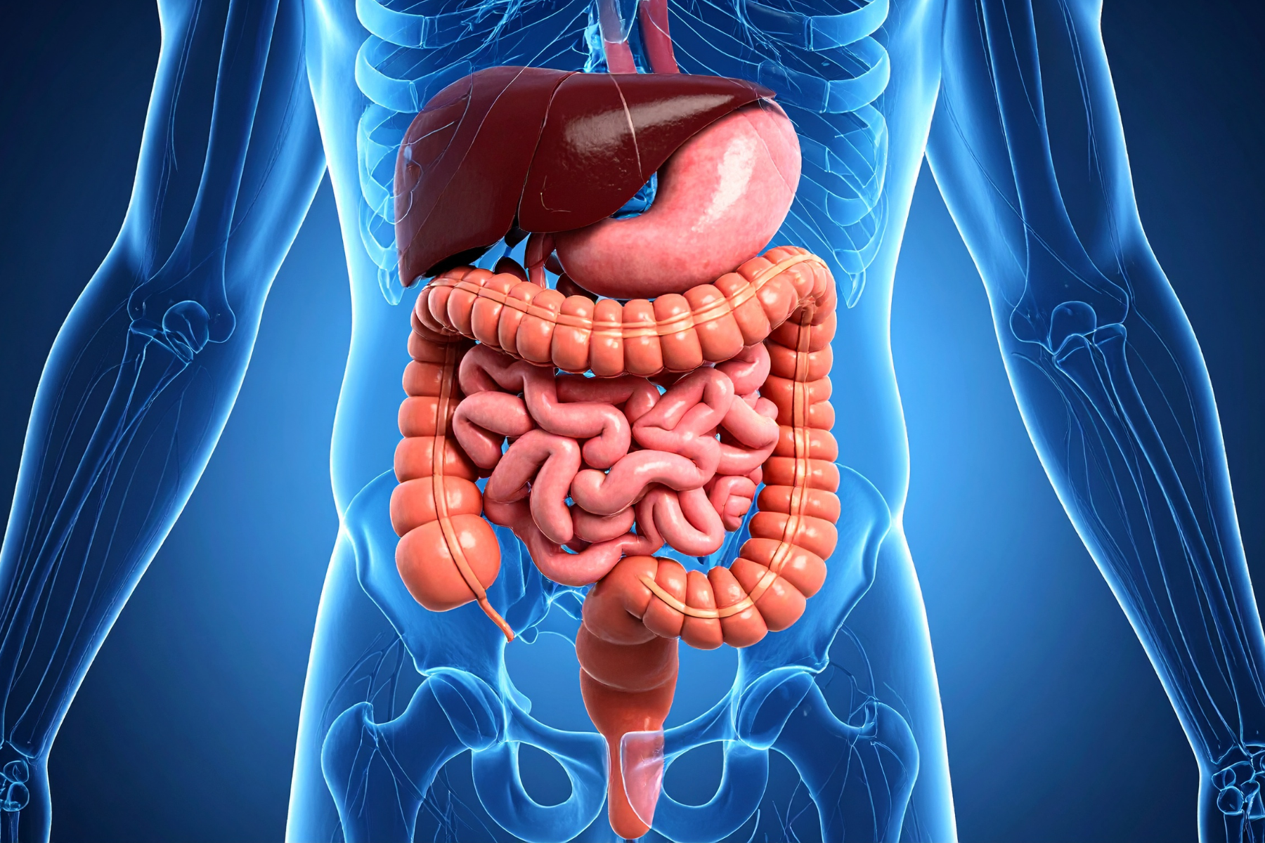 Gut Inflammation and Epigenetics: A Potential Link to Colorectal Cancer