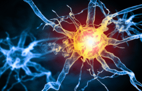 Neuropathic Pain: Locus Coeruleus as a Potential Brain Brake
