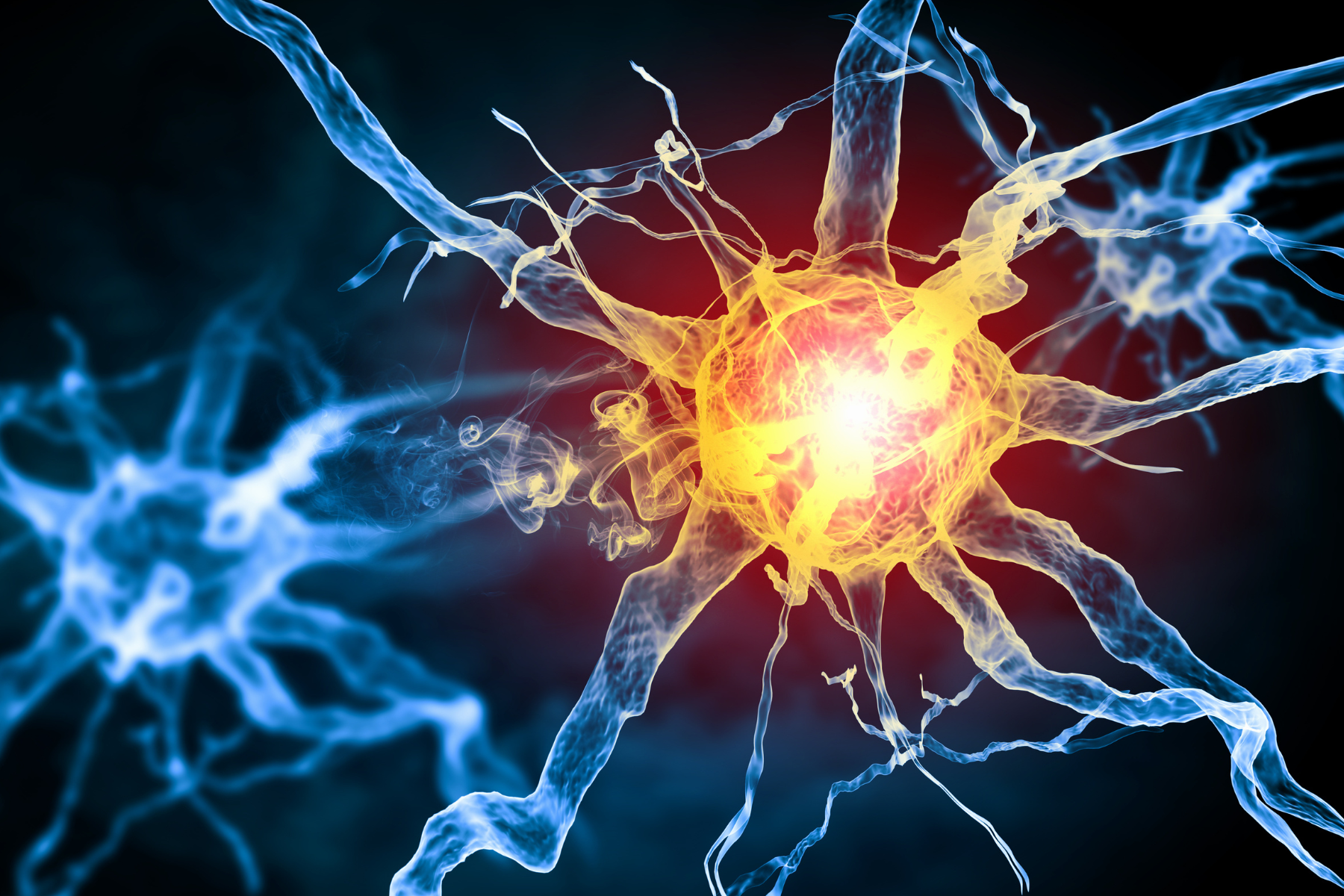 Neuropathic Pain: Locus Coeruleus as a Potential Brain Brake