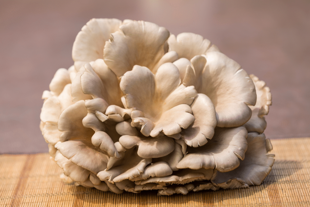 Oyster Mushroom (Pleurotus ostreatus): Effects on Mood and Cognitive Function in Older Adults