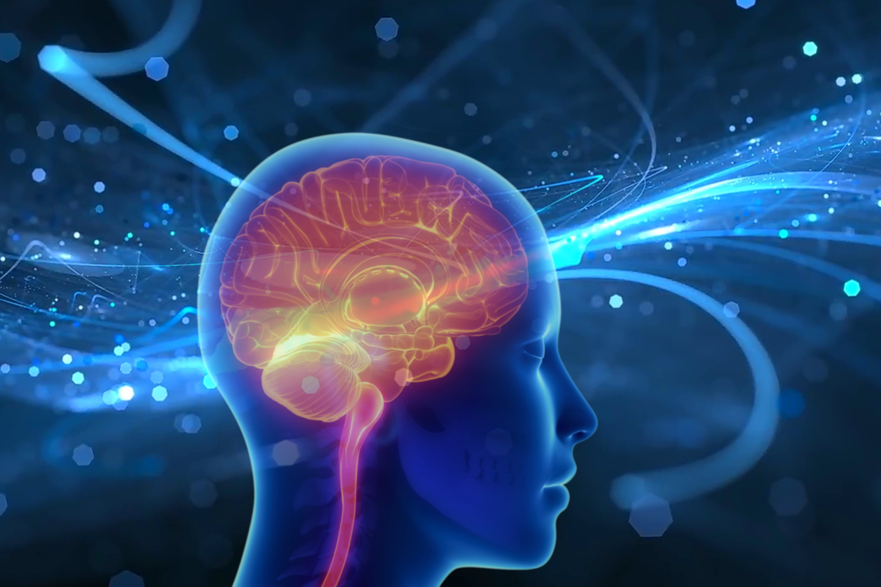 Proteostasis Decline and Microglia: New Insights into Brain Aging