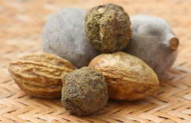Triphala: Health Benefits, Properties, and Potential Clinical Applications