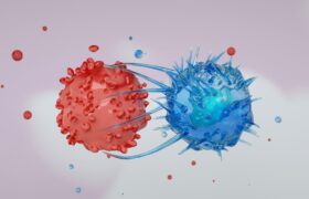 CD4+ Cytotoxic T Cells in Supercentenarians: Evidence of Adaptive Expansion in Healthy Aging