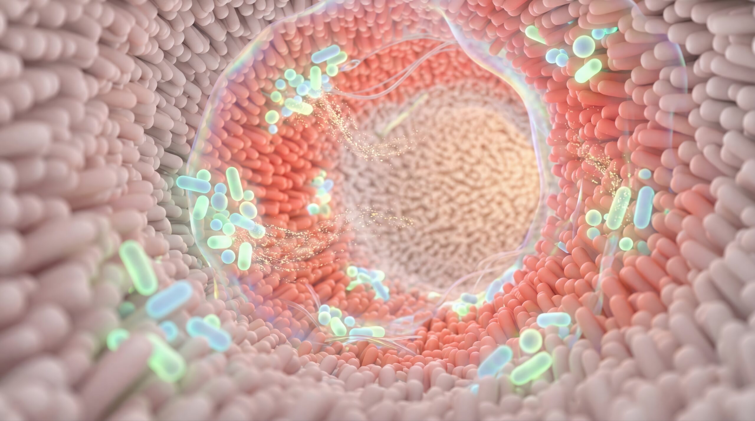 Gut Microbiome and Longevity: How Microbes Influence Lifespan
