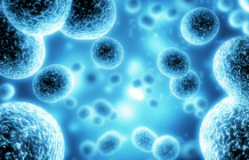 Inflammaging and Aging: The Role of Oxidative Stress and Mitochondria