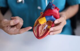 World Heart Day: From Prevention to Cardiovascular Longevity Research