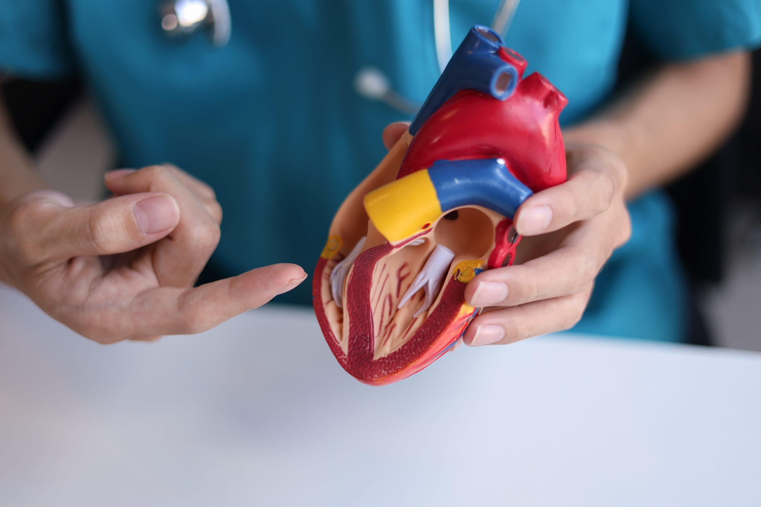 World Heart Day: From Prevention to Cardiovascular Longevity Research