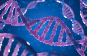 DNA Methylation: What It Is and Why It Matters