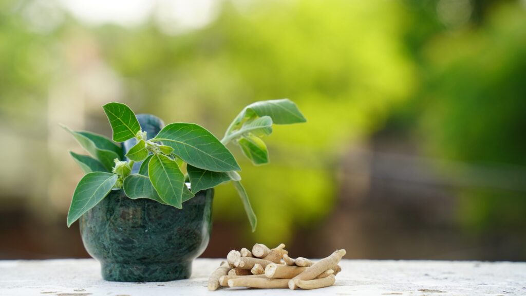 Ashwagandha for Stress Relief: Benefits and How It Works