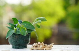 Ashwagandha for Stress Relief: Benefits and How It Works