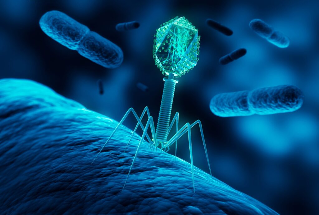 New Prospects for Phage Therapy