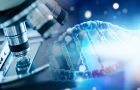 Optogenetics Wins the 2026 Nobel Prize in Medicine: How Light Controls Brain Circuits