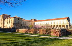 Palliative Care Conference: Castellini Foundation Promotes Building Bridges of Care