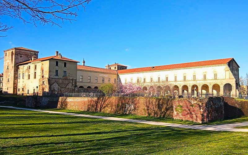 Palliative Care Conference: Castellini Foundation Promotes Building Bridges of Care