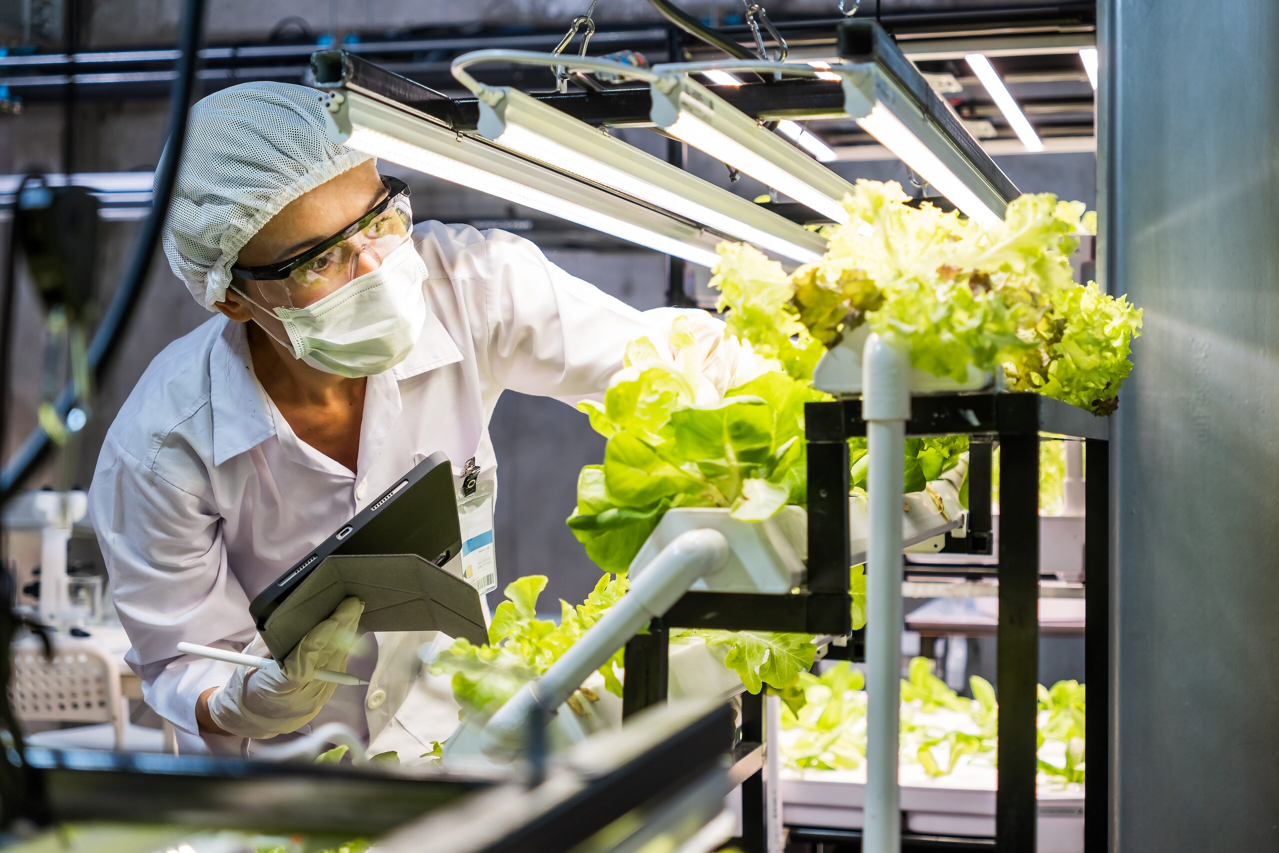 Photosynthesis and Magnetic Fields: How Plants Respond in 10 Seconds