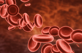 Polyphenols and Microcirculation: Herbal Therapy for Vascular Health