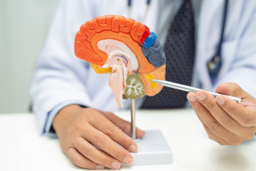 The Aging Hippocampus: A Cellular and Genomic Map of the Adult Brain